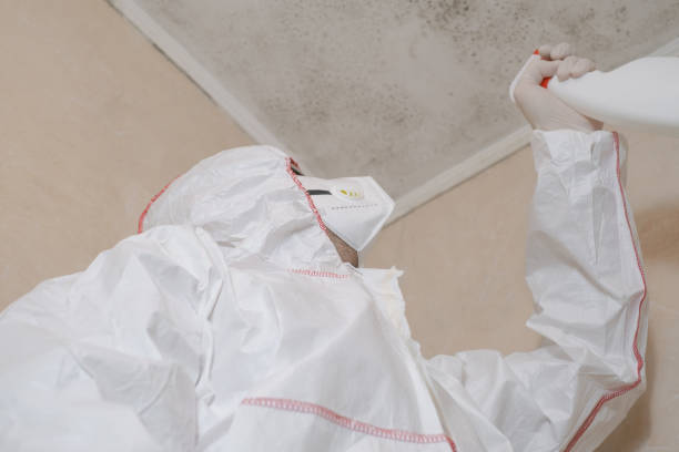 Ashford, AL Mold Remediation Company